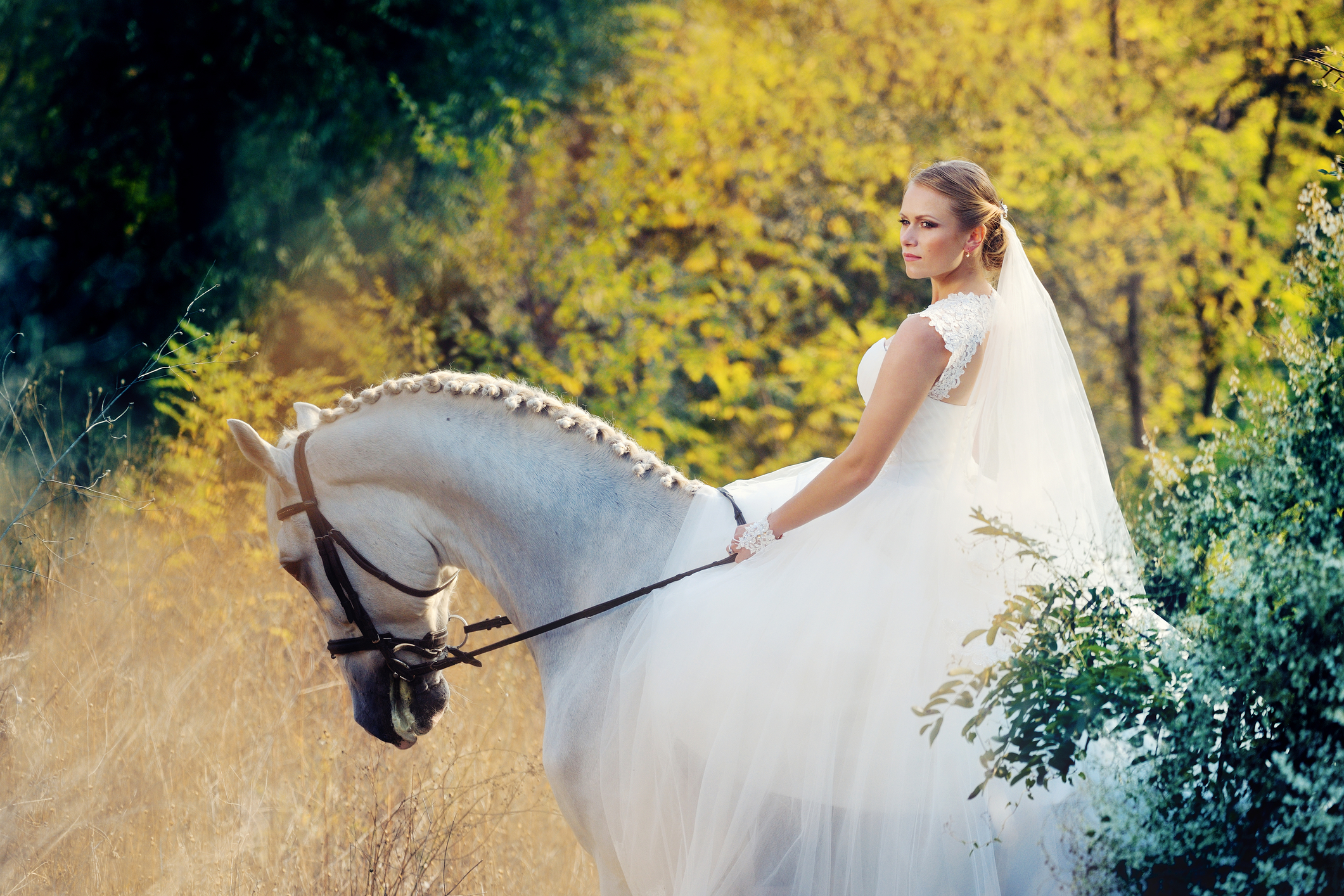 Long Island Horseback Rentals for Weddings