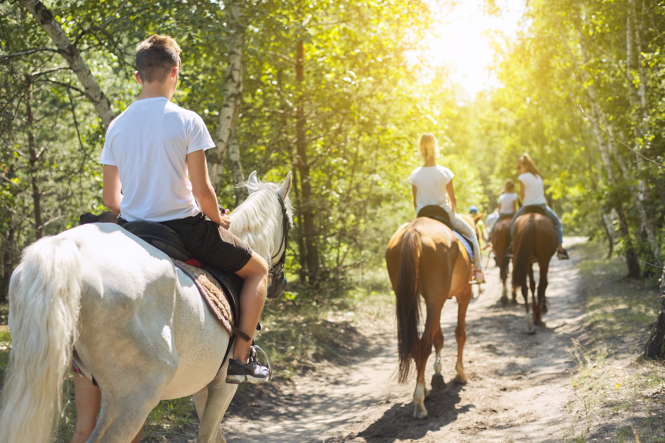 Suffolk County Horseback Riding for Events