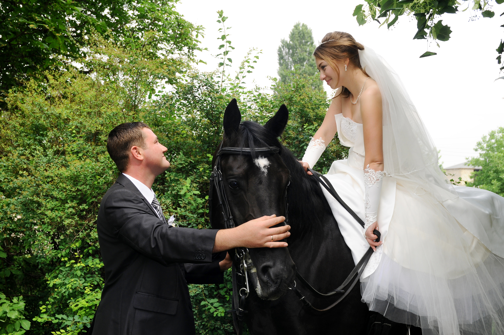 port-jeff-horse-rentals-for-weddings Port Jefferson Horse Rentals for Weddings on Long Island