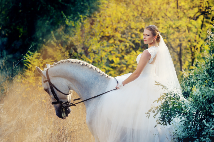 Horseback Riding Long Island - Huntington, NY 11743 Ride-In Events Horseback Wedding near Huntington NY 11743